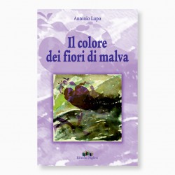 Il colore dei fiori di malva